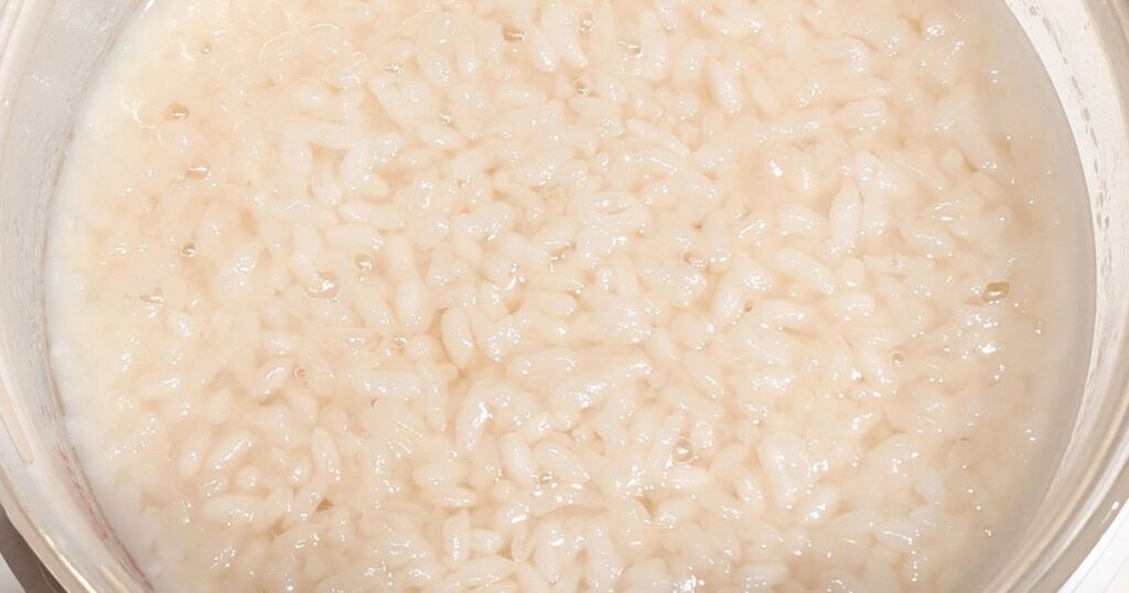 ヨーグルティアSで甘麹が出来上がったところ