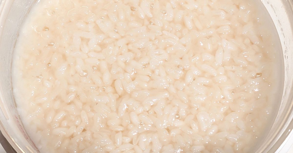 ヨーグルティアSで甘麹が出来上がったところ